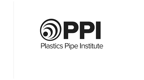 Ppi Logo
