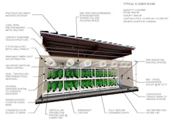 Cut Flower With Notes 1 Cut Flower With Notes 1