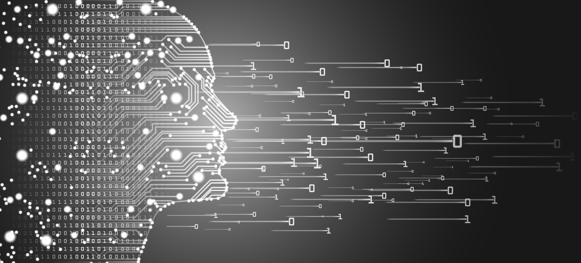 Dreamstime M 115899431