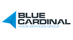 Blue Cardinal Blue Cardinal