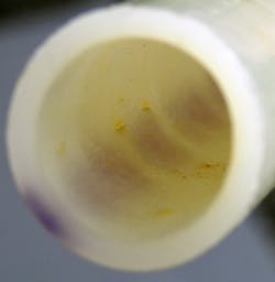 Image1 Contractor Image1 Contractor