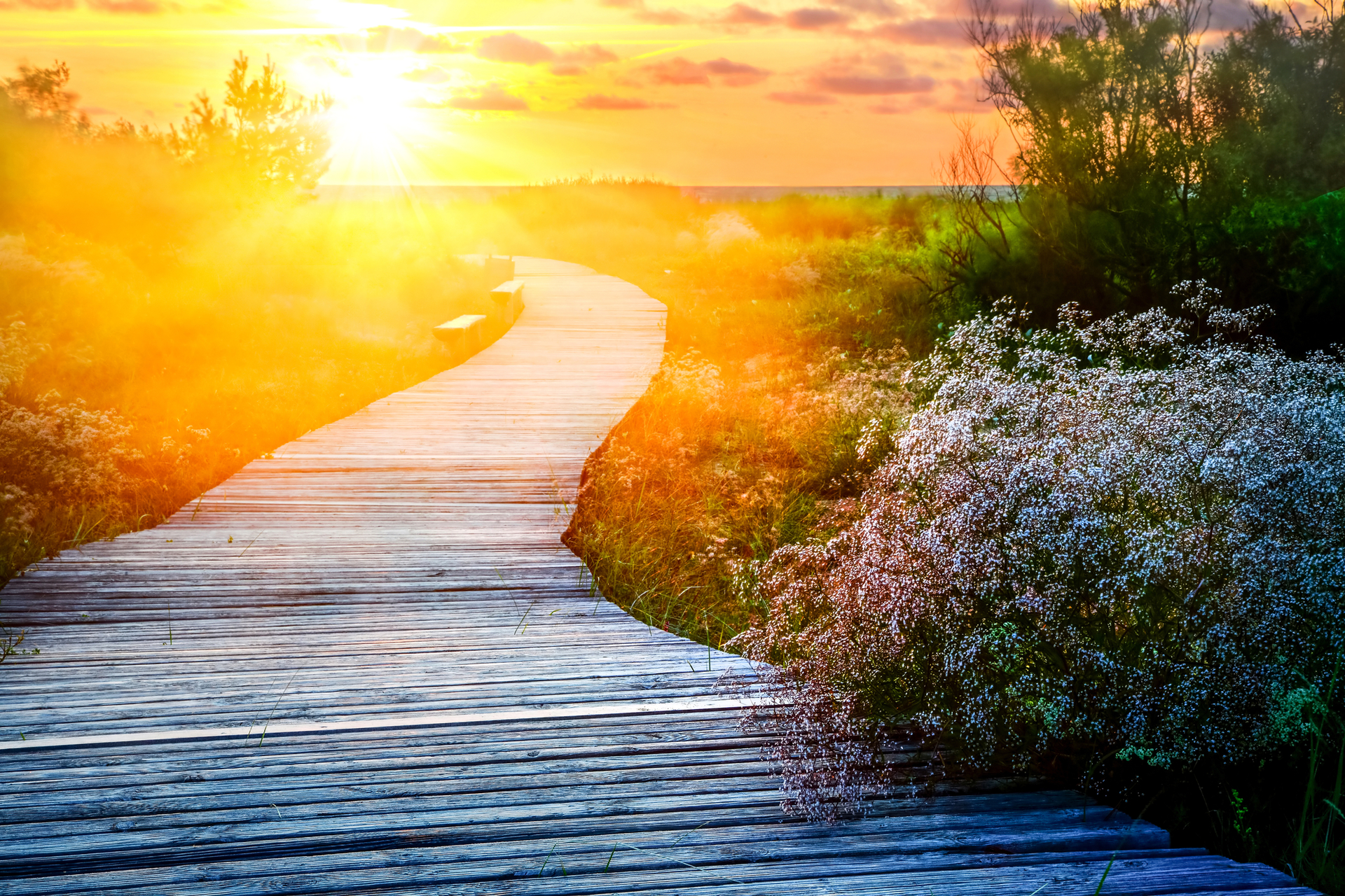 Dreamstime M 41962386