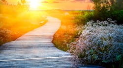 Dreamstime M 41962386 Dreamstime M 41962386