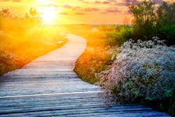 Dreamstime M 41962386 65086fb5cb406 Dreamstime M 41962386 65086fb5cb406