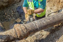 656f5a8a50b7e6001e86510d Dreamstime M 45899363 656f5a8a50b7e6001e86510d Dreamstime M 45899363