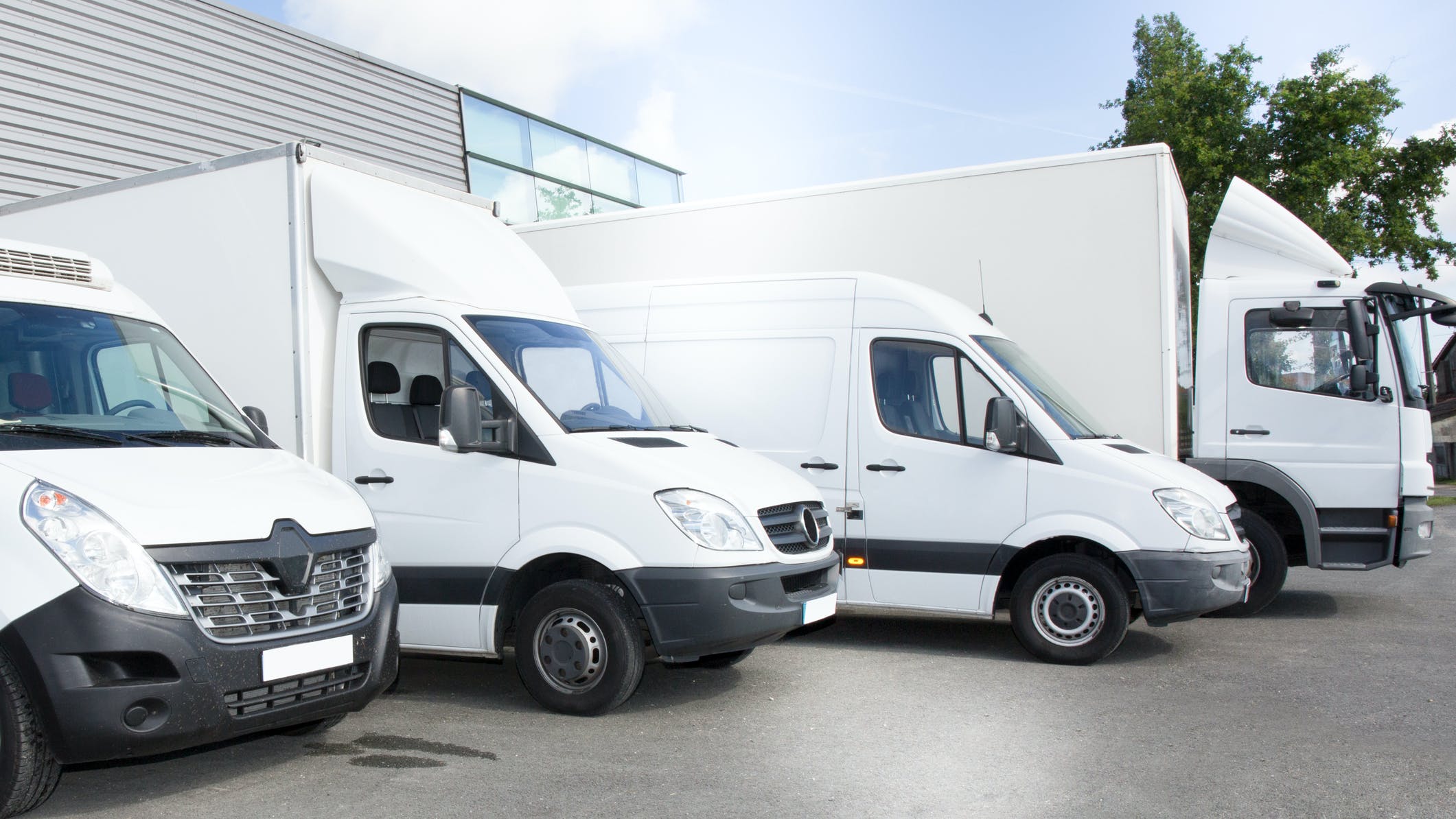 dreamstime_m_113053732