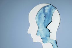 65e2134d2e4c59001e0f9f85 Dreamstime M 213816067 65e2134d2e4c59001e0f9f85 Dreamstime M 213816067