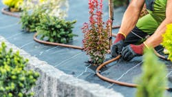 Graywater systems can provide water for non-potable applications such as lawn or landscape irrigation. Graywater systems can provide water for non-potable applications such as lawn or landscape irrigation.