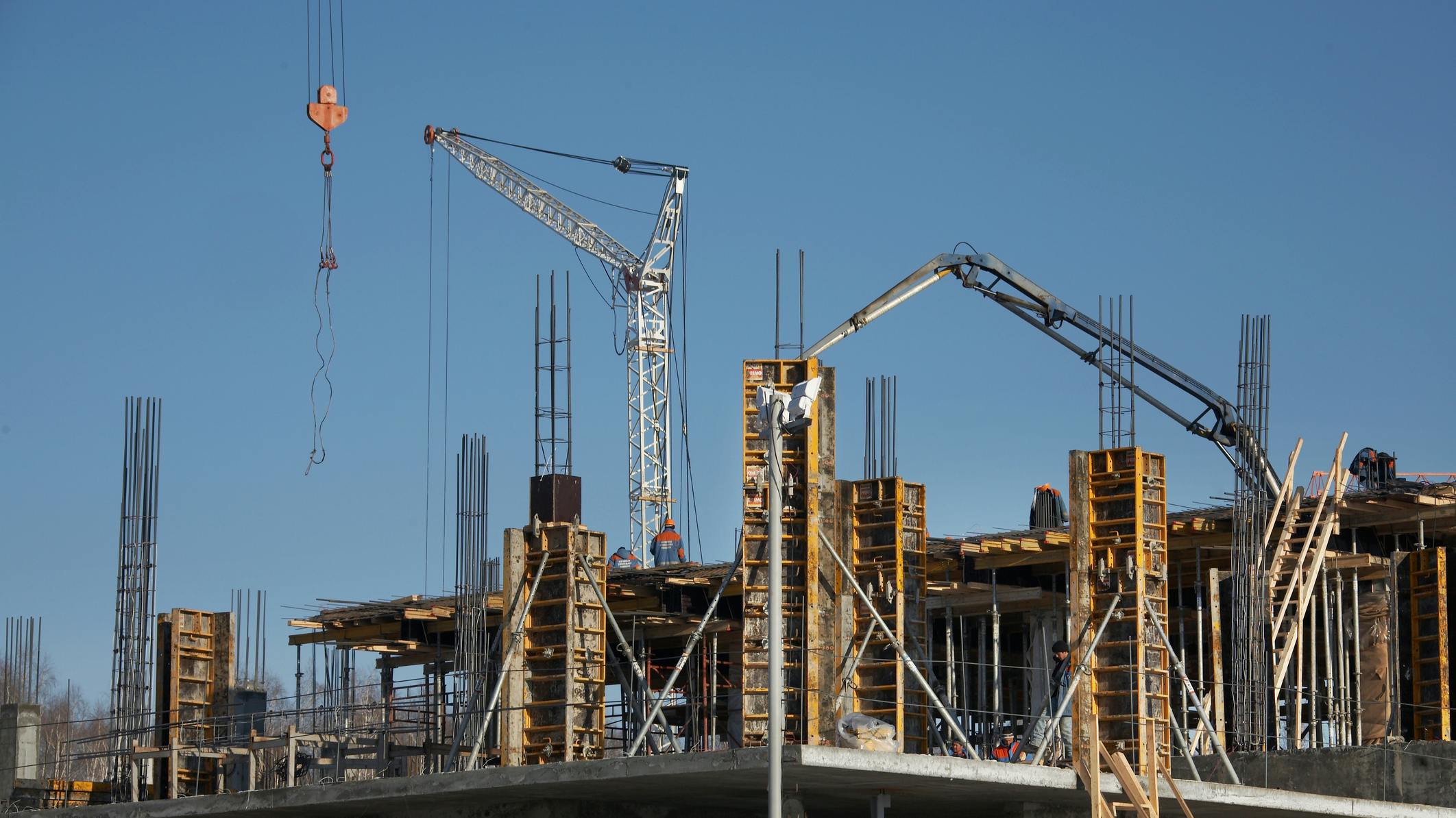 6644b587e80aea8eb119a979 Dreamstime M 5317187