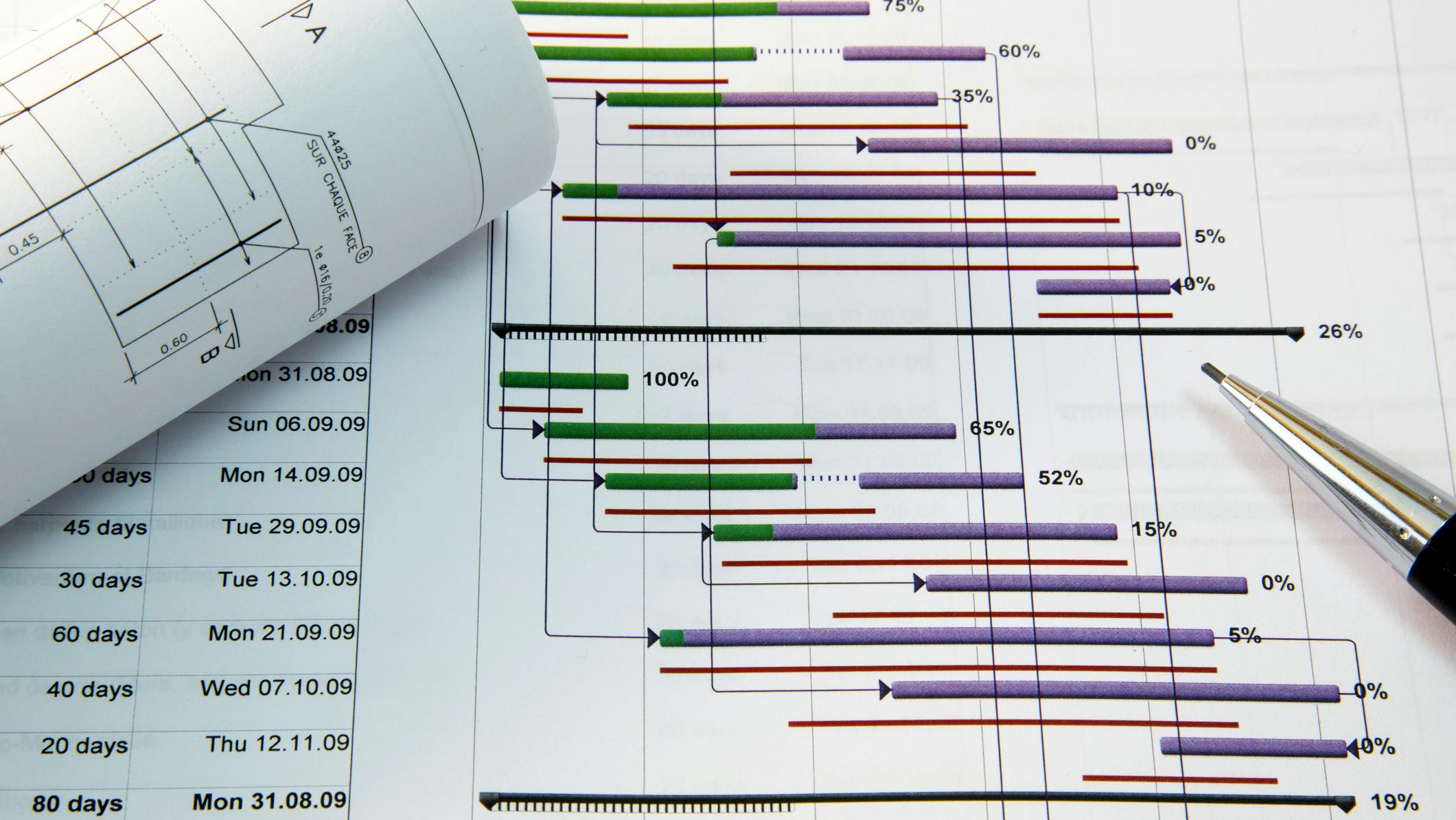 667dbbcee48d939e45effe80 Dreamstime M 33235871