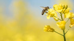 66845236a6eb3648715ae34c Istock873200612 66845236a6eb3648715ae34c Istock873200612