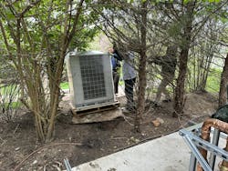 Sneaking chillers through the trees. Sneaking chillers through the trees.