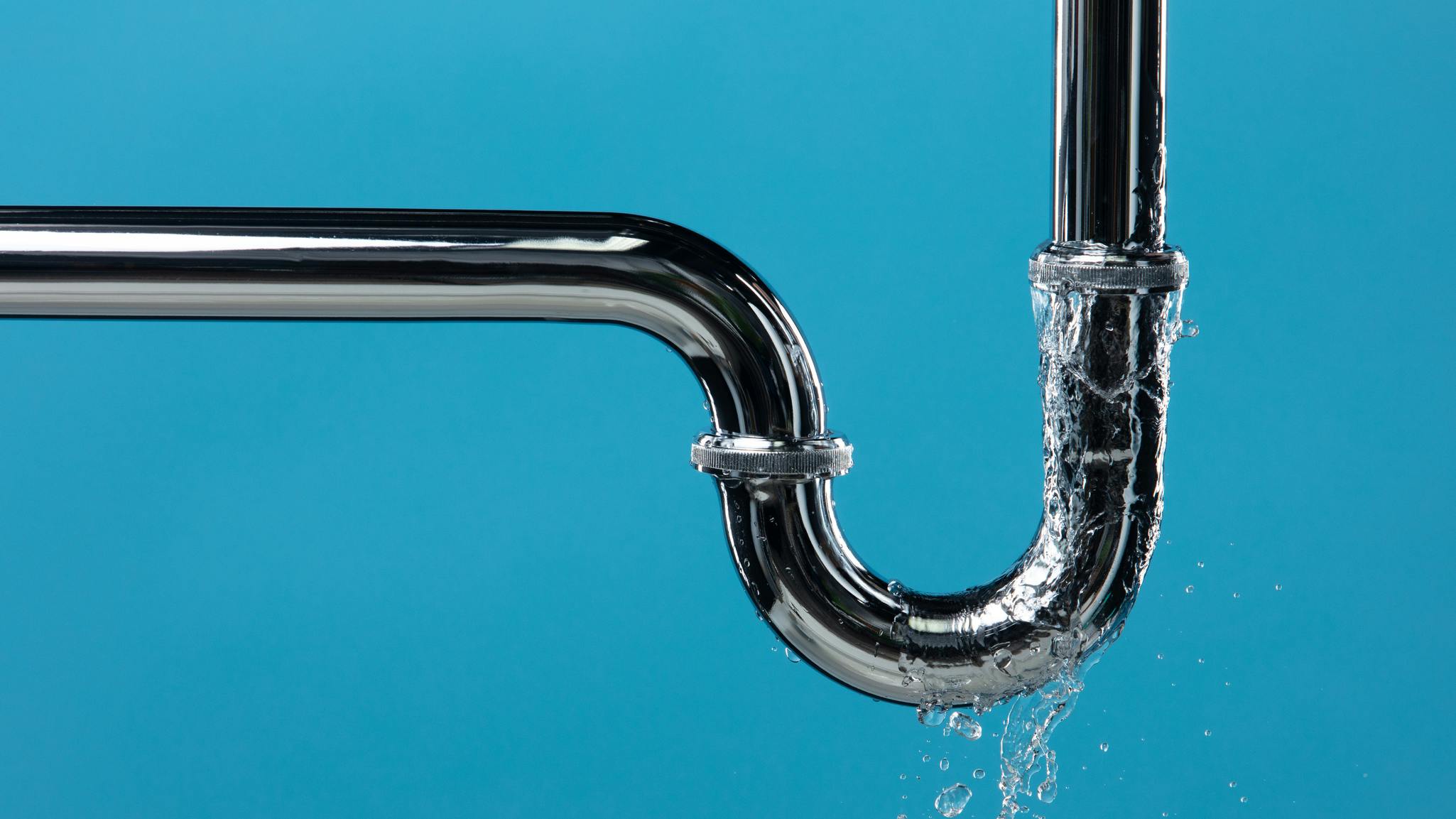 66bbbee65cf313962a1ac373 Dreamstime M 322598717