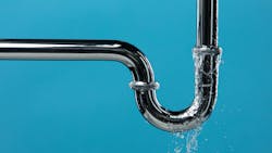 66bbbee65cf313962a1ac373 Dreamstime M 322598717 66bbbee65cf313962a1ac373 Dreamstime M 322598717