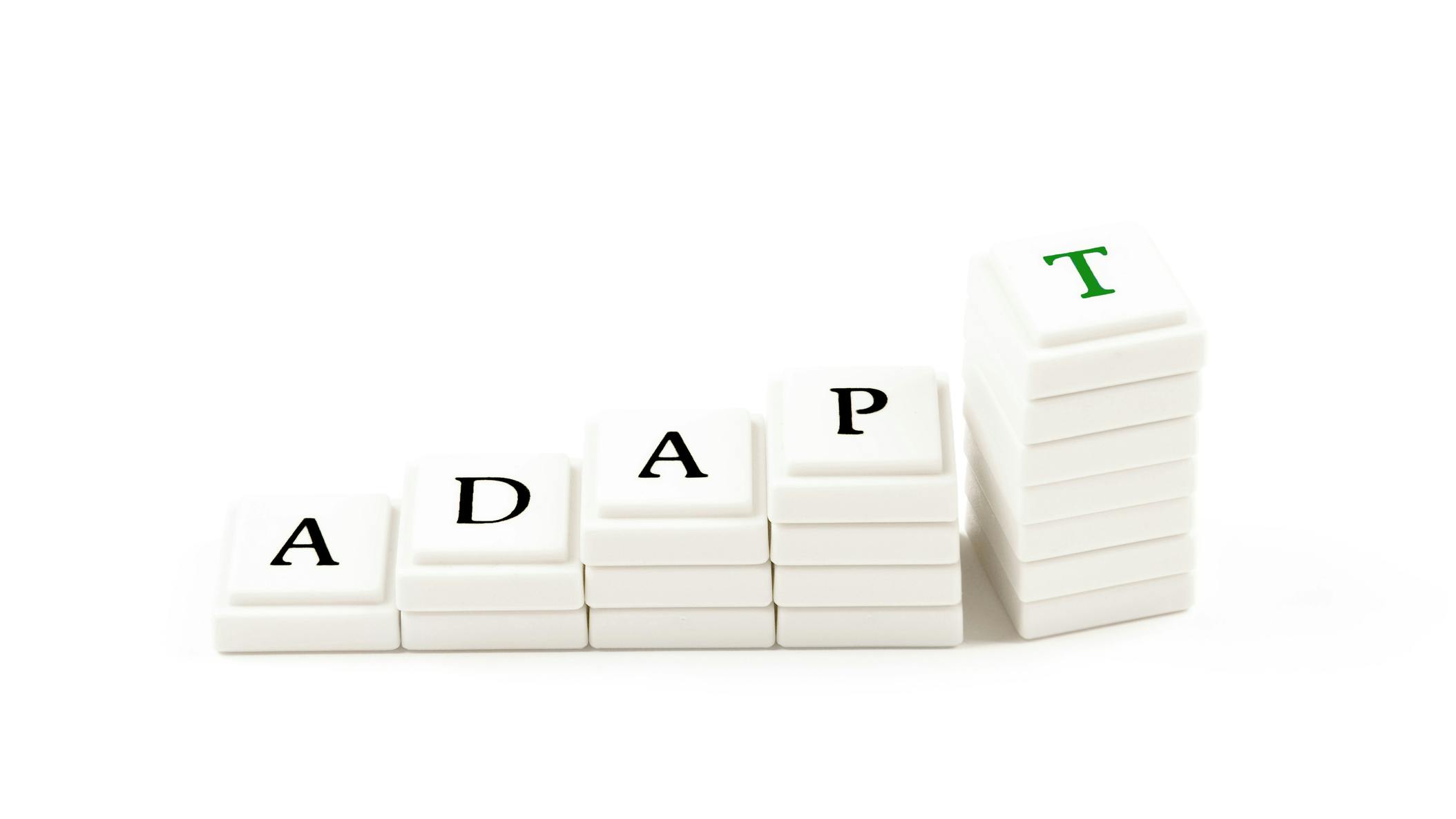 66c6a9d49dd3eefe9a2fcab4 Dreamstime M 16656925