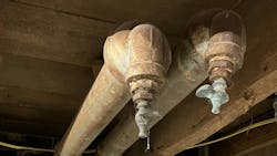 67172a01f0516439aa1d44b5 Column 60 Photo 67172a01f0516439aa1d44b5 Column 60 Photo