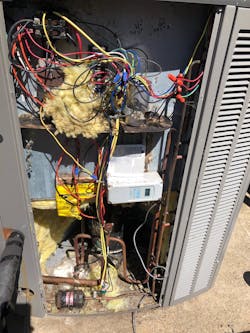 'Service mice' at work. 'Service mice' at work.