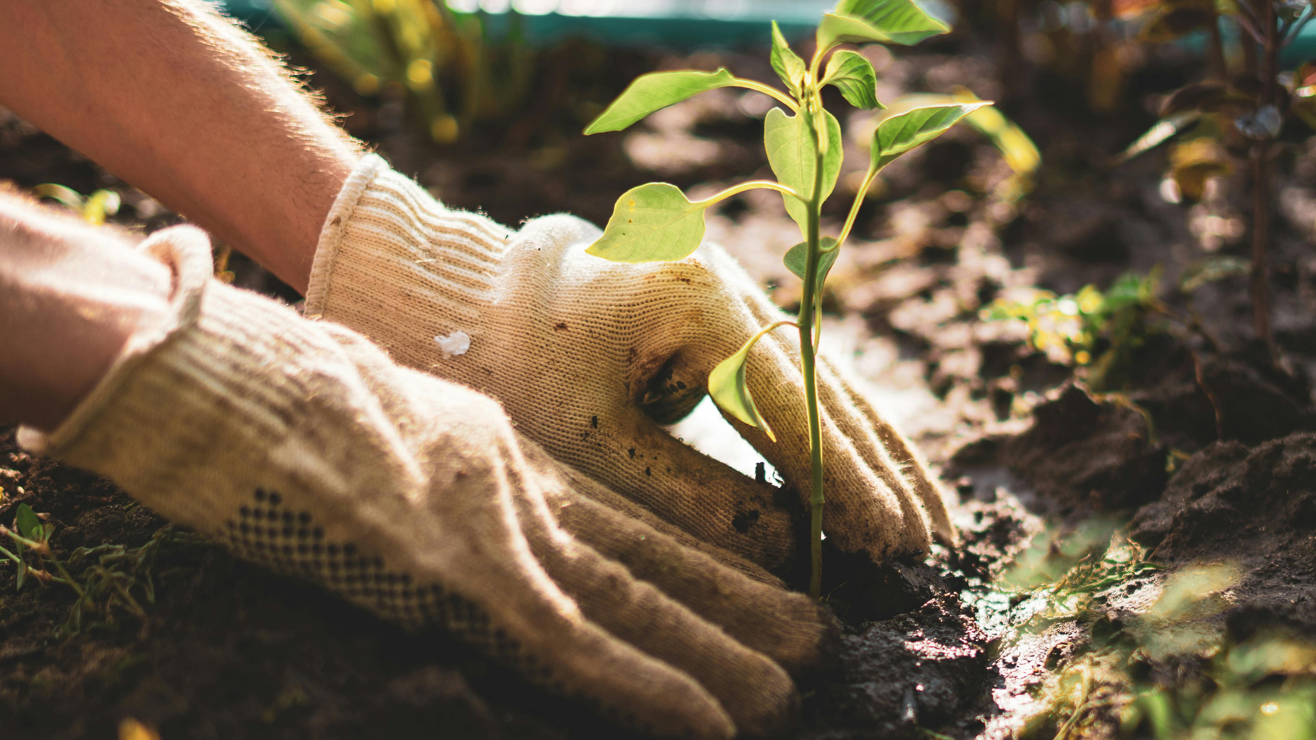 6751e66a5eeead49925811d0 Istock1161321111