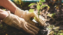 6751e66a5eeead49925811d0 Istock1161321111 6751e66a5eeead49925811d0 Istock1161321111