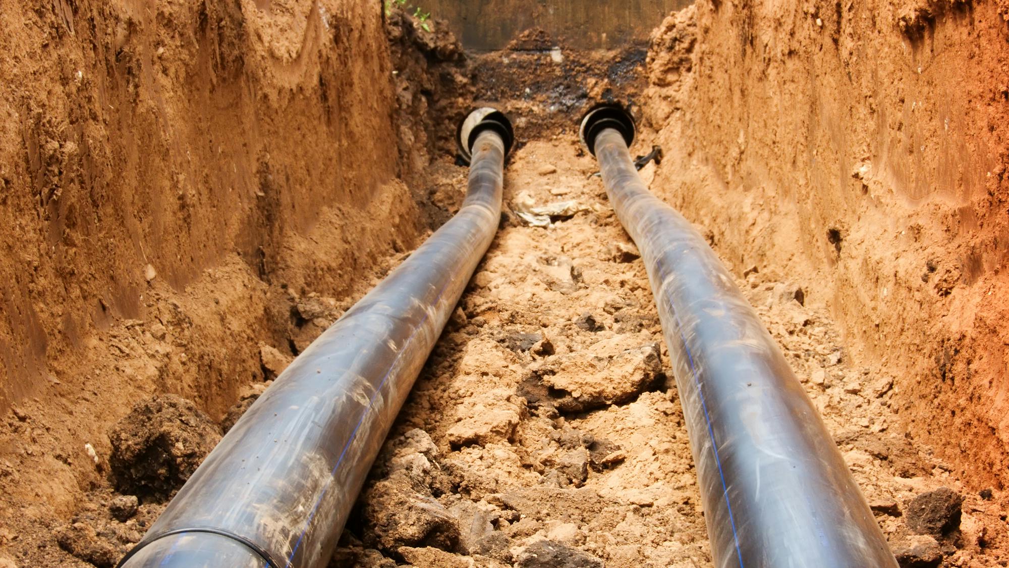 67648b003e93977e221fab35 Dreamstime M 10130960