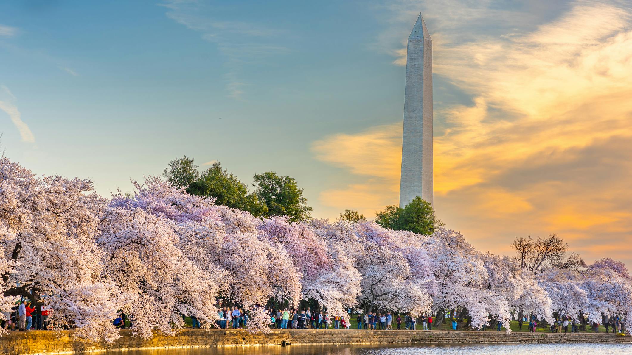 dreamstime_m_171339018