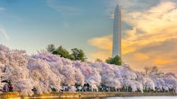 67a67cda024d3fef1648665b Dreamstime M 171339018 67a67cda024d3fef1648665b Dreamstime M 171339018