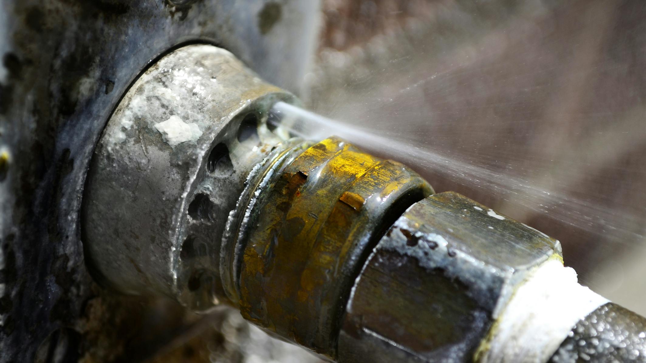 67b60c75dd3f35de2538d769 Dreamstime M 31173319