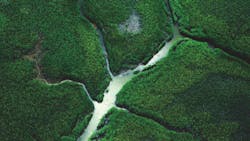 67ffe4c01f08d21bb7a898e3 Sloanearthdayphoto 67ffe4c01f08d21bb7a898e3 Sloanearthdayphoto