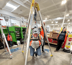 Harness training. Harness training.