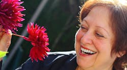 dreamstime_m_3317741 dreamstime_m_3317741