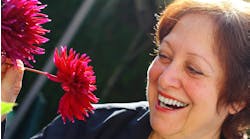 dreamstime_m_3317741 dreamstime_m_3317741