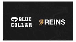 blue collar reins blue collar reins