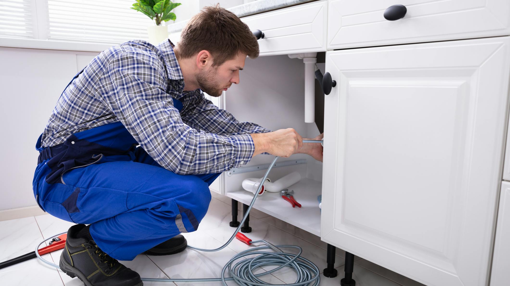 dreamstime_m_181262454