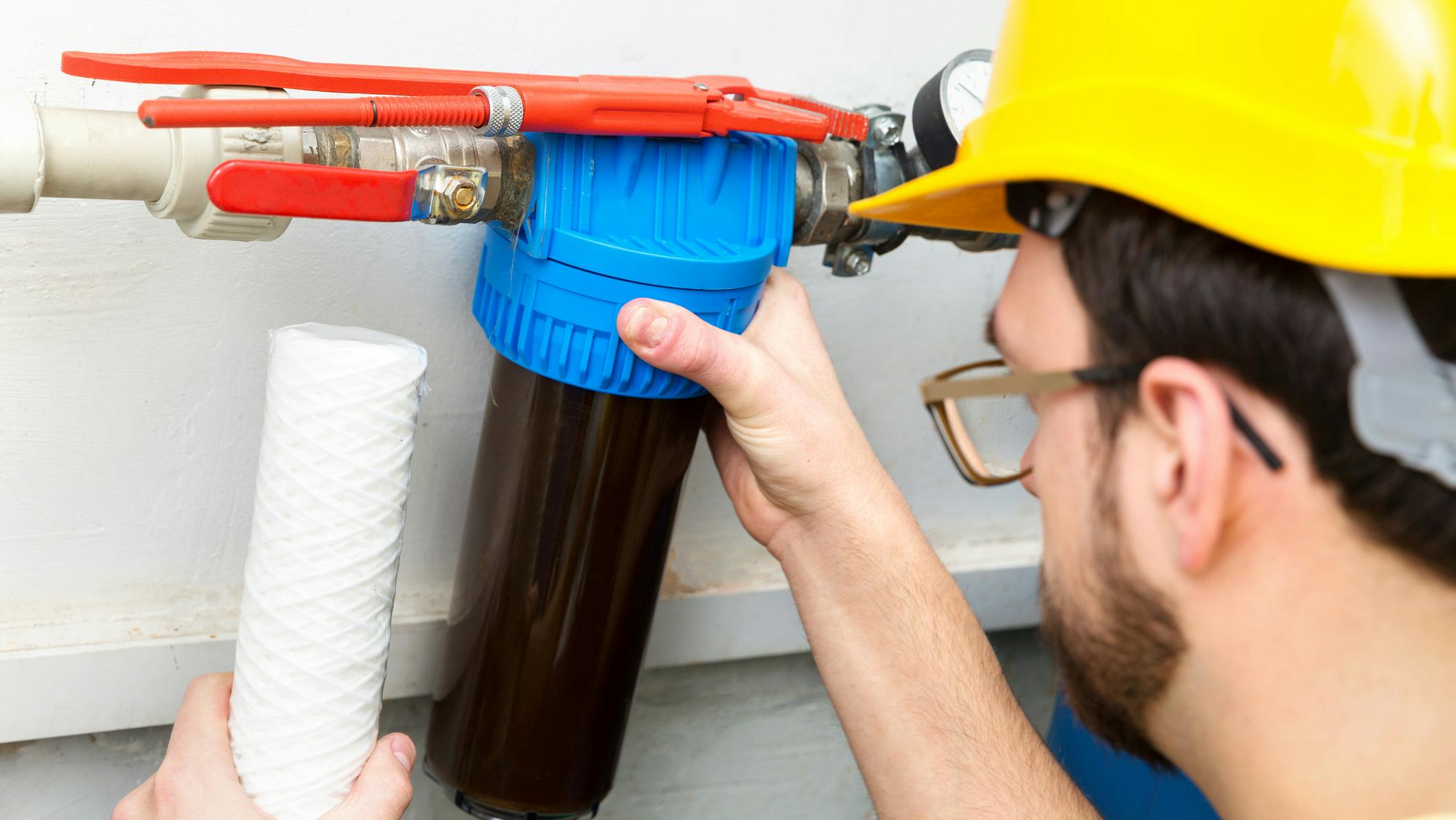 dreamstime_m_87134292