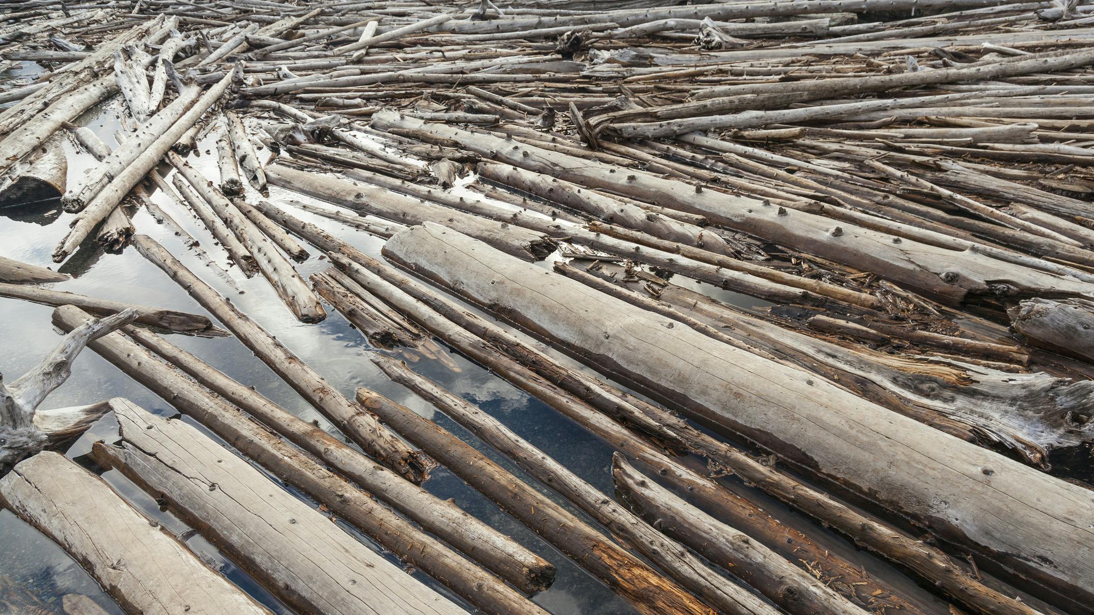 dreamstime_m_32051372