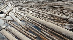 dreamstime_m_32051372 dreamstime_m_32051372