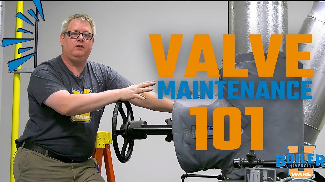 686e9b5b25345e22fb98e762 Maxresdefault