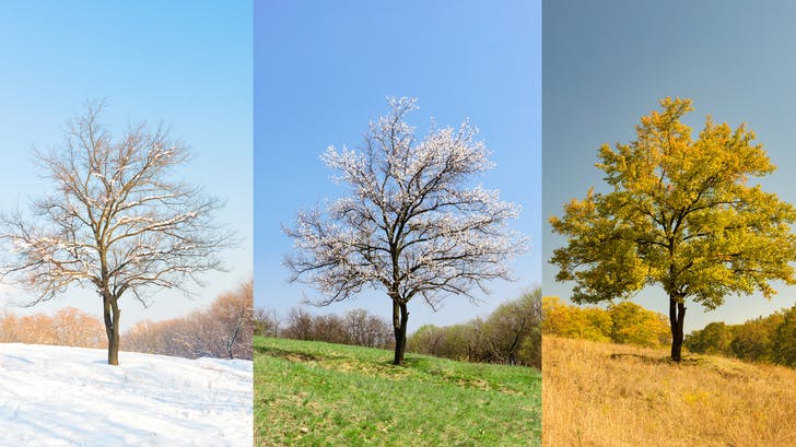 For Plumbing Companies, Marketing is a Year-Round Necessity