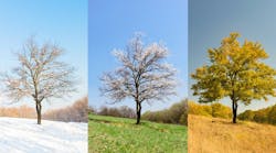 dreamstime_s_71963764 dreamstime_s_71963764