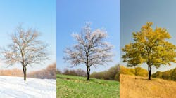 687fc4c83e5cb0a1ed0c8235 Dreamstime S 71963764 687fc4c83e5cb0a1ed0c8235 Dreamstime S 71963764