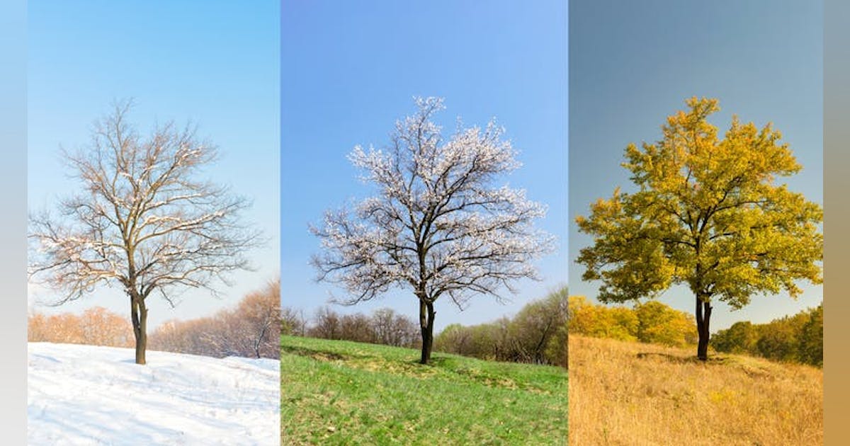 For Plumbing Companies, Marketing is a Year-Round Necessity