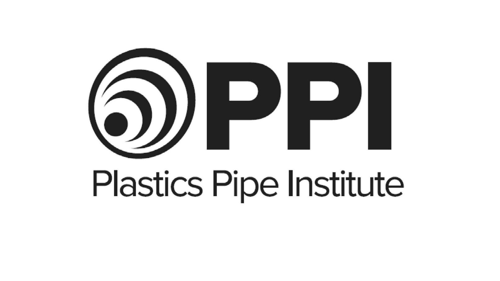 68810dd668762ab3922aebc5 Ppi Logo