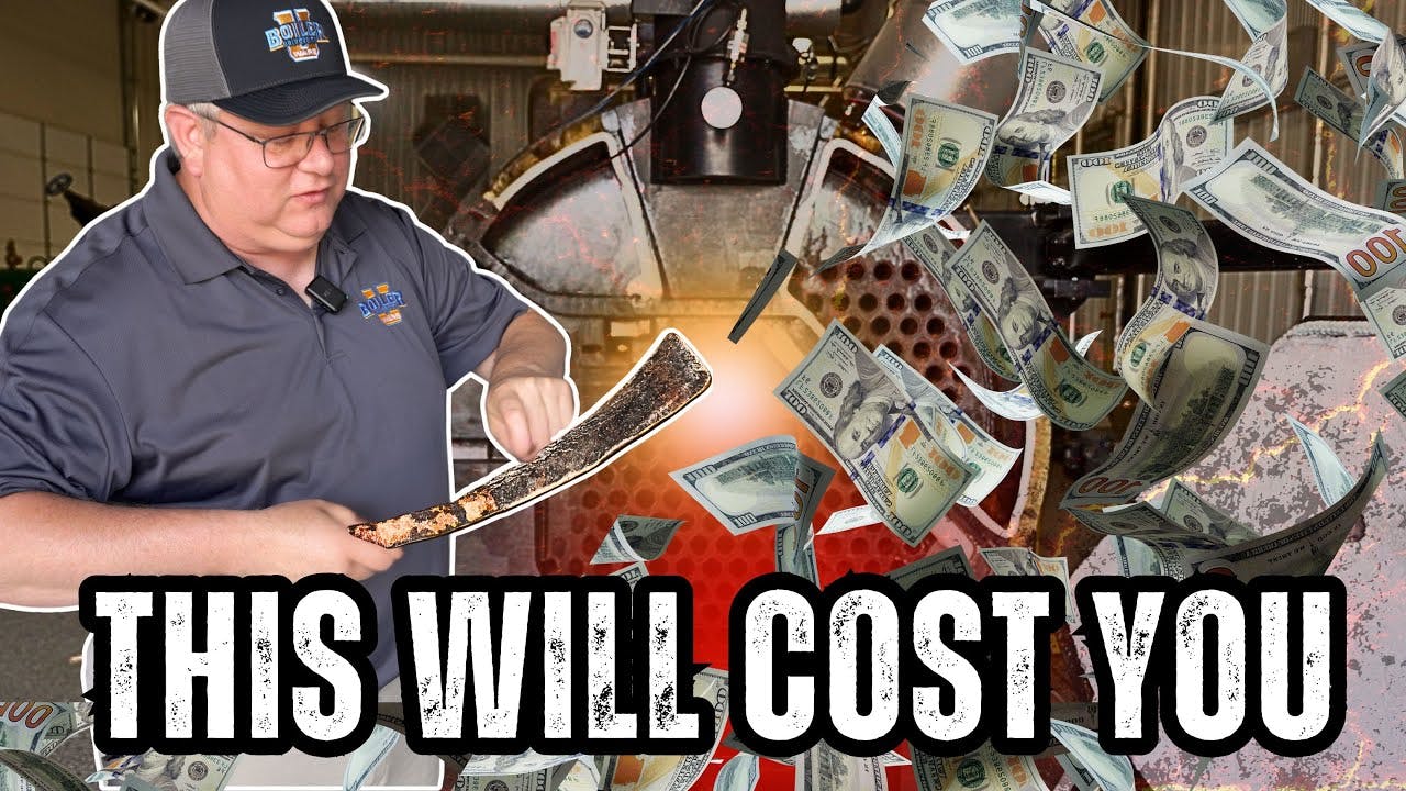 689366ef0038484627537a80 Maxresdefault