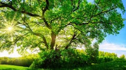 dreamstime_s_76383540 dreamstime_s_76383540