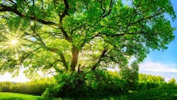 68a77f53c9c895e2edeb970c Dreamstime S 76383540 68a77f53c9c895e2edeb970c Dreamstime S 76383540