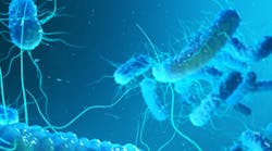 Legionella bacterium. Legionella bacterium.