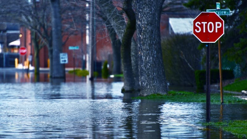 Spring River Flood. Des Plains, IL, USA. Nature Disasters Photo Collection.