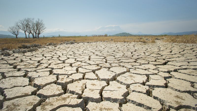 Land affected by drought conditions.