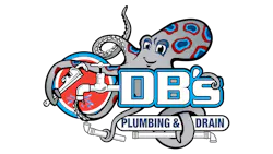 DB’s Plumbing and Drain logo DB’s Plumbing and Drain logo