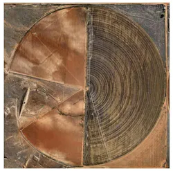 Pivot Irrigation #10 (High Plains - Texas Panhandle, USA), 2011, by Edward Burtynsky.